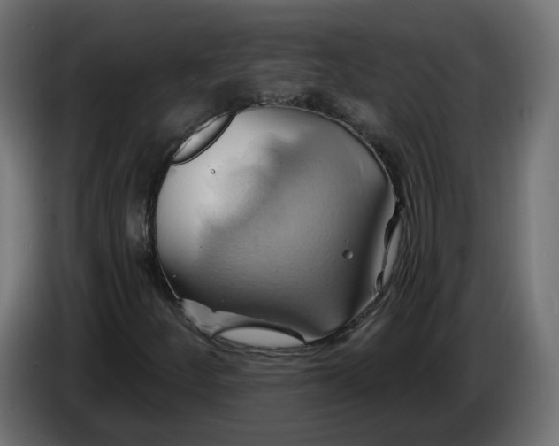 X0000086021252200704131842