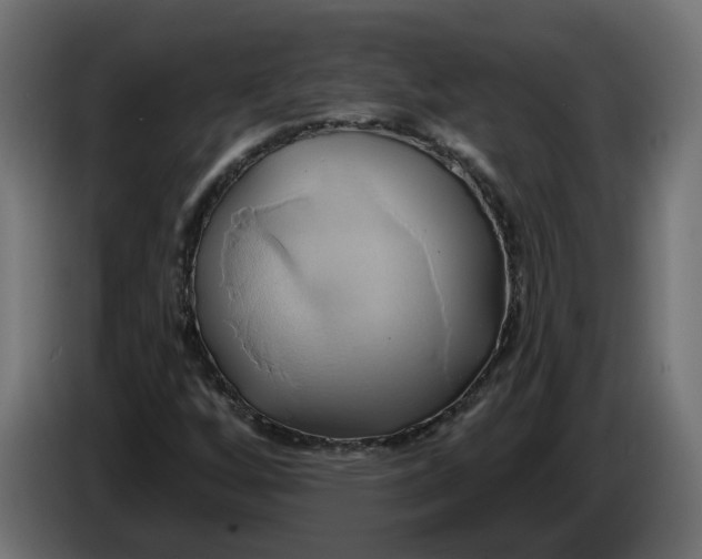X0000086021256200704131842