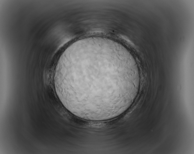 X0000086021258200704131842