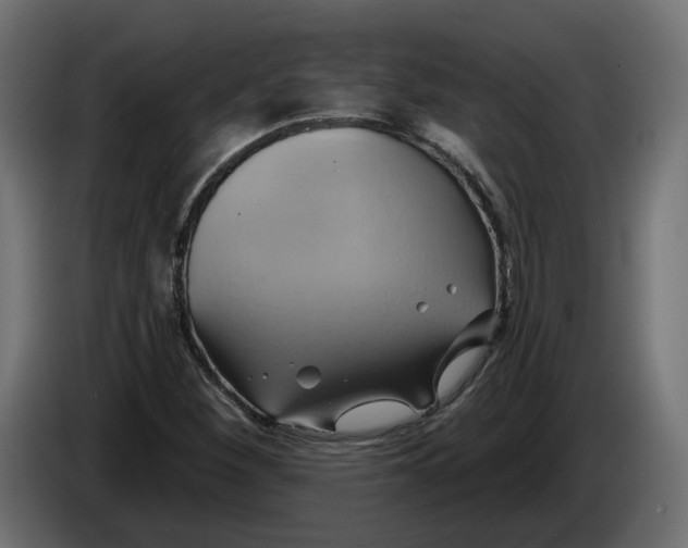 X0000086021260200704131842