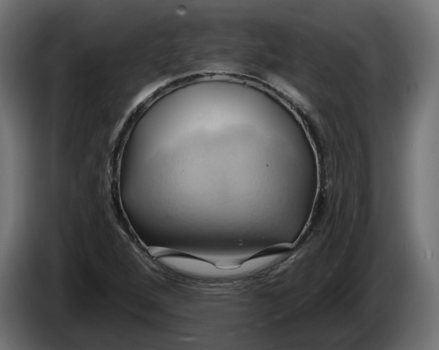 X0000086021264200704131842