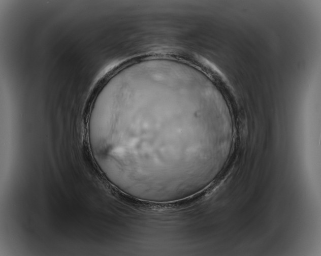 X0000086021267200704131842