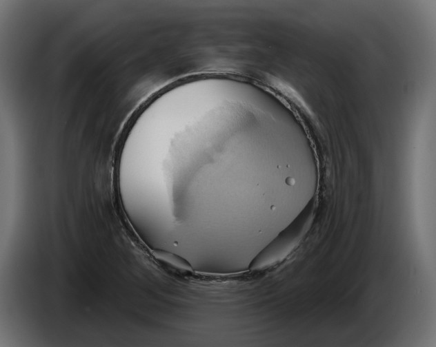X0000086021268200704131842