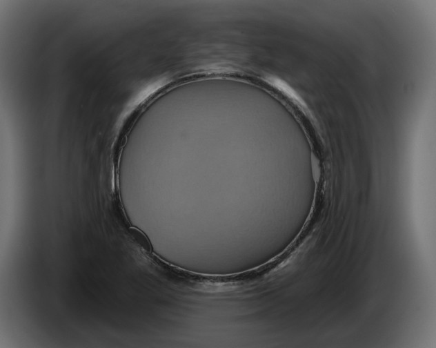 X0000086021269200704131842