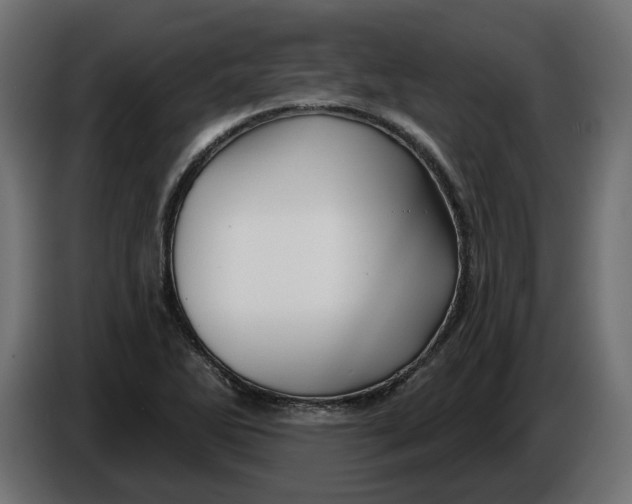 X0000086021270200704131842