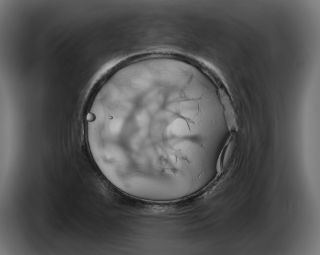 X0000086021271200704131842