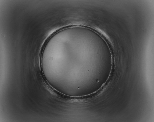 X0000086021272200704131842