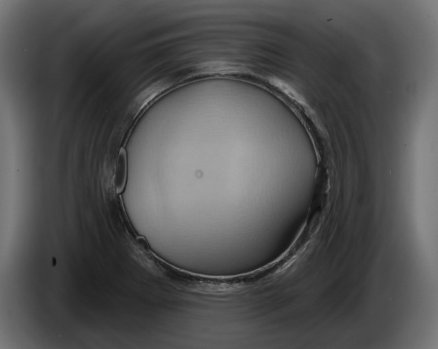 X0000086021273200704131842