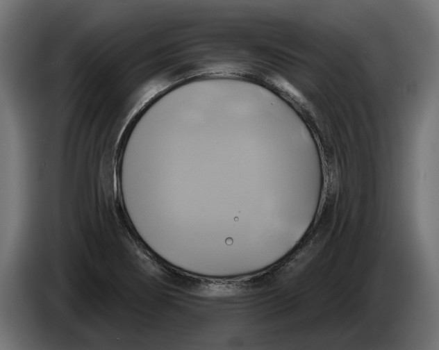X0000086021274200704131842