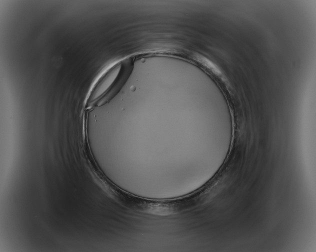 X0000086021275200704131842