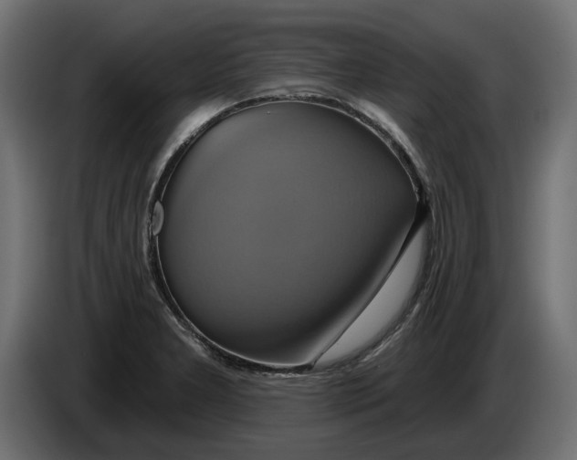 X0000086021277200704131842
