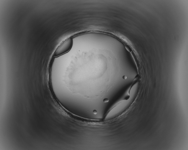 X0000086021280200704131842