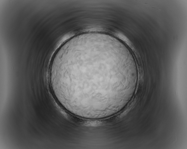 X0000086021282200704131842