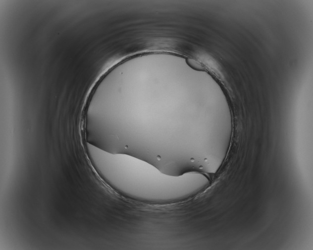 X0000086021284200704131842