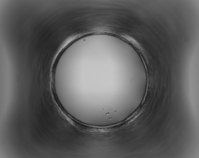 X0000086021286200704131842