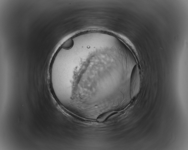 X0000086021287200704131842