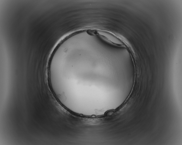 X0000086021288200704131842