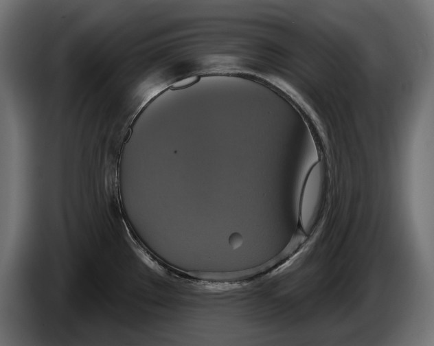 X0000086021289200704131842