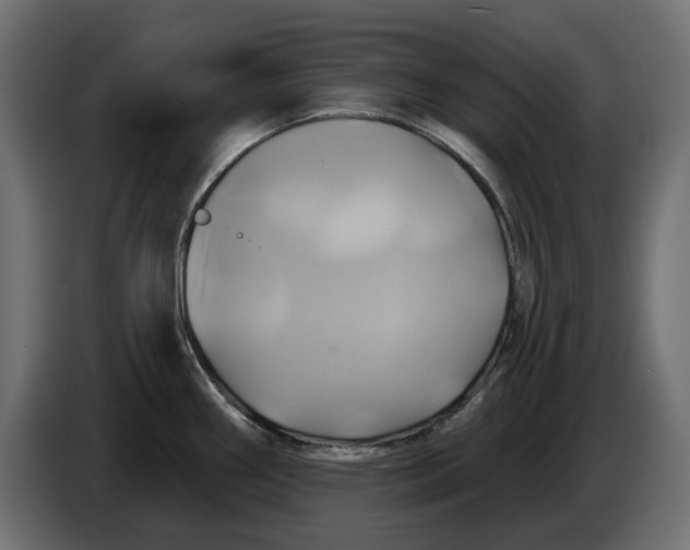 X0000086021290200704131842