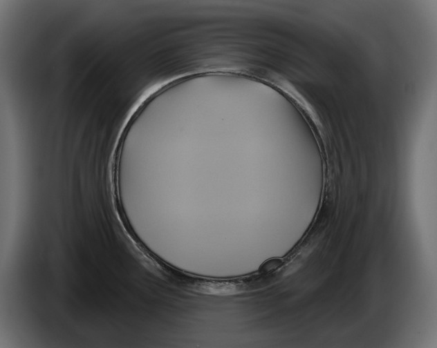 X0000086021291200704131842