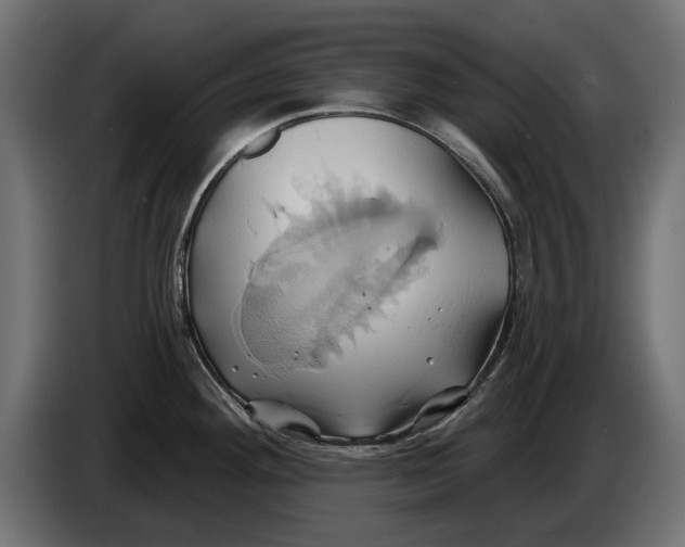 X0000086021292200704131842