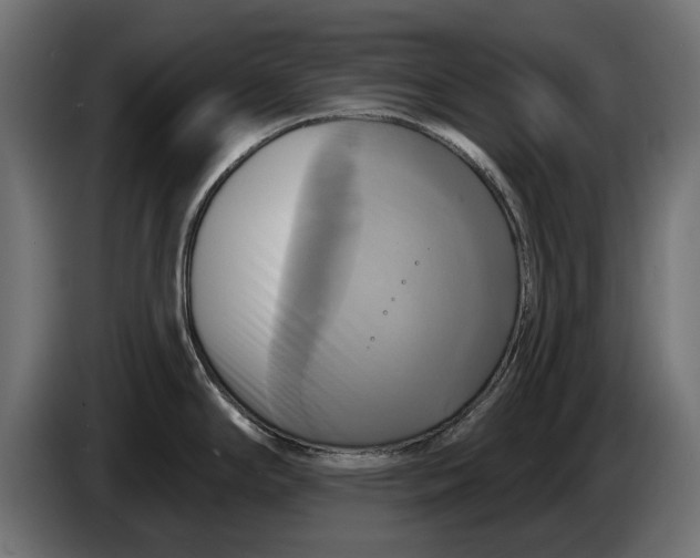 X0000086021294200704131841