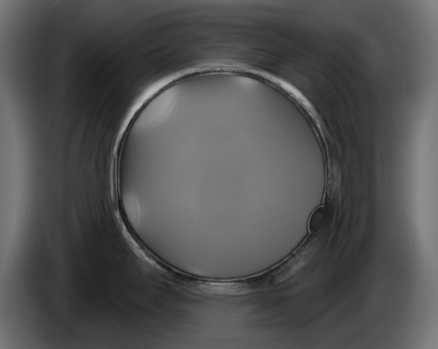X0000086021295200704131841