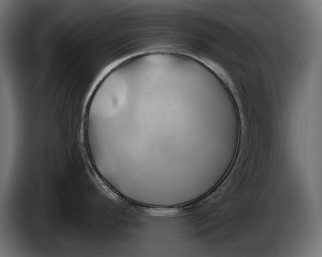 X0000086021296200704131841