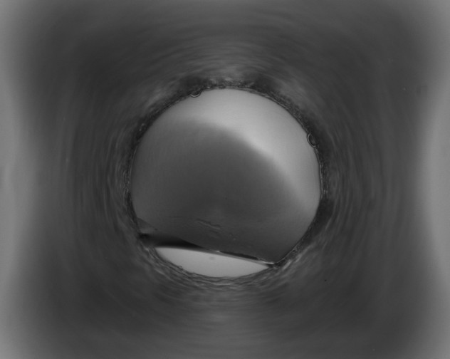 X0000086021297200704131841