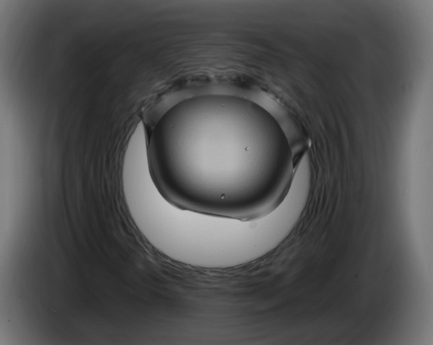 X0000086021298200704131841