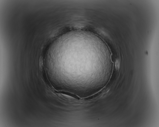 X0000086021299200704131841