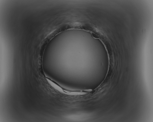 X0000086021301200704131841