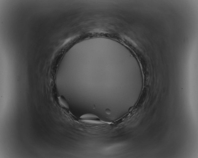 X0000086021303200704131841