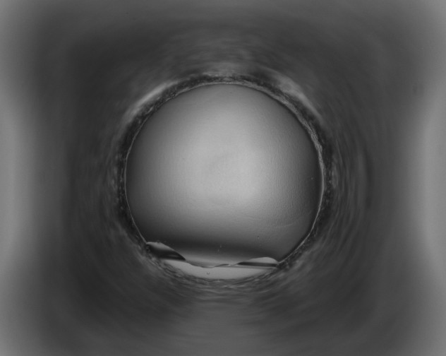 X0000086021304200704131841