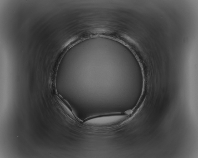 X0000086021305200704131841