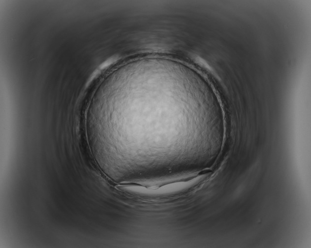 X0000086021307200704131841
