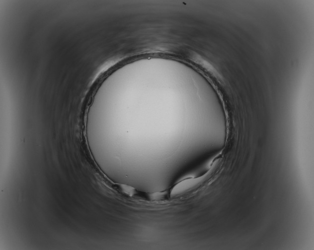 X0000086021308200704131841