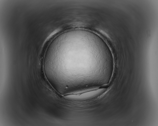 X0000086021309200704131841