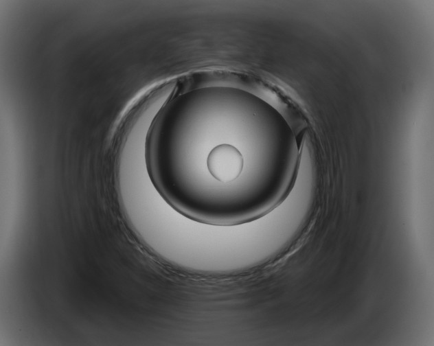 X0000086021310200704131841