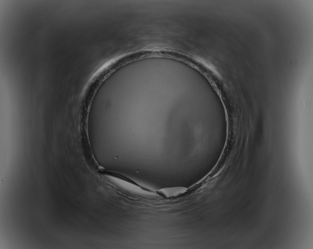 X0000086021311200704131841