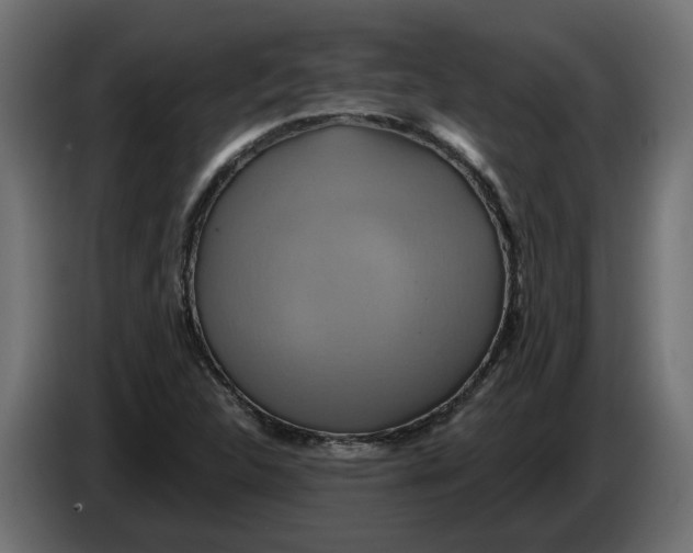 X0000086021312200704131841