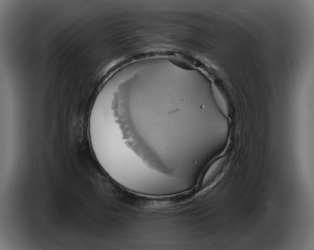 X0000086021313200704131841