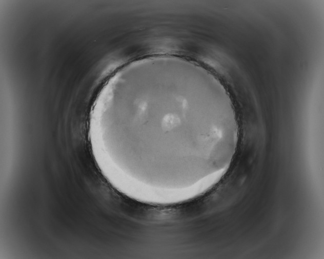 X0000086021314200704131841