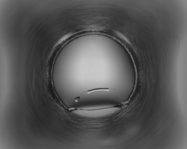 X0000086021315200704131841