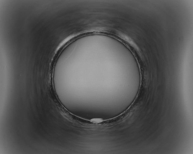 X0000086021316200704131841