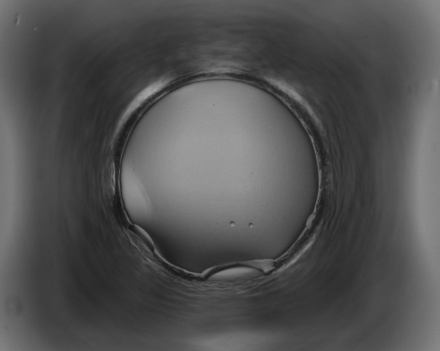 X0000086021317200704131841