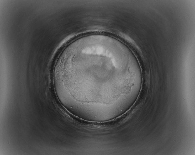 X0000086021318200704131841
