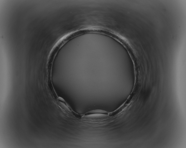 X0000086021319200704131841