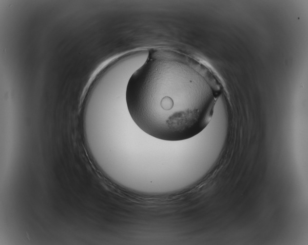 X0000086021320200704131841