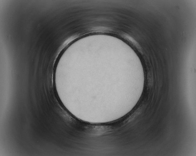 X0000086021322200704131841